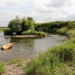 Kiesbett der Mulde bei Grubnitz