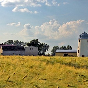 Mühle bei Deuben