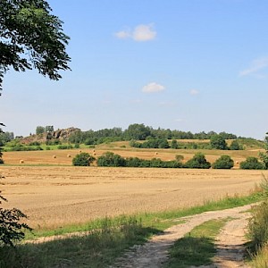 Landschaft bei Hohburg