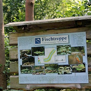 Naturlehrpfad im NSG Mühlbachtalbei Dehnitz