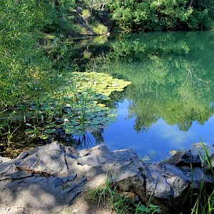 Steinbruch Wolfsberg