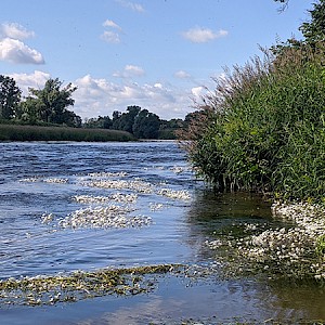 Mulde bei Rothersdorf