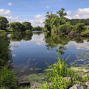 Angelgewässer bei Rothersdorf